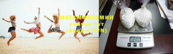 шишки Няндома