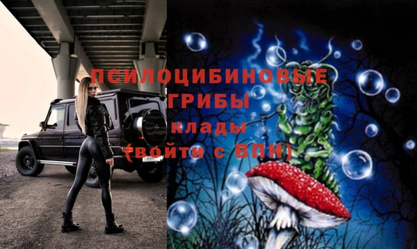шишки Баксан