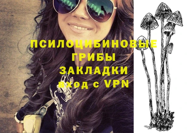 шишки Баксан